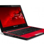 Ноутбук Packard Bell DOT_SE/R-501 (LU.BT508.006) - 12 499 рублей